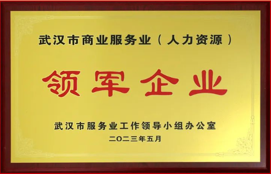 喜報丨熱烈祝賀騰飛人才榮獲武漢市服務(wù)業(yè)領(lǐng)軍企業(yè)稱(chēng)號