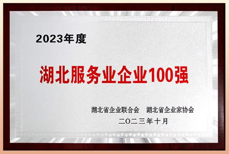 喜報丨熱烈祝賀騰飛人才榮獲“2023年度湖北服務(wù)業(yè)企業(yè)100強”稱(chēng)號